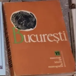 Bucuresti VII Materiale de Istorie si Muzeografie