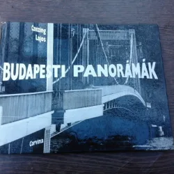 Budapesti Panoramak - Czeizing Lajos  (carte fotografie, text in limba maghiara)