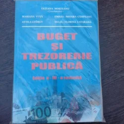 Buget si trezorerie publica - Tatiana Mosteanu