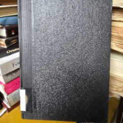 Bugetul Statului in Criza Economica - Ion Raducanu