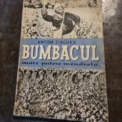 BUMBACUL, MARE PUTERE MONDIALA - ANTON ZISCHKA