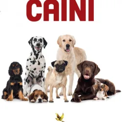 Caini, Animale de companie,