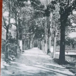 Carte postal, Parcul din Salistea, perioada interbelica