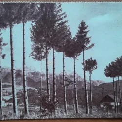 Carte postala, Bran, perioada interbelica