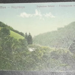 Carte postala, circulata, Baia Mare Cosinziana Usturoi, 1928