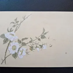 Carte postala, flori de primavara, inceput de secol XX