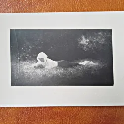 Carte Postala, Reproducere dupa Pictura In Livada a lui N. Grigorescu, necirculata, 1940