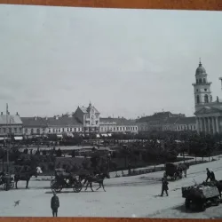 Carte postala, Satu Mare Paiata Regele Carol I, perioada interbelica