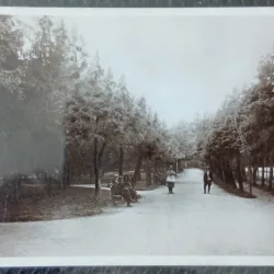 Carte postala, Sfantul Gheorghe, Parcul, 1930