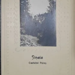 Carte postala, Sinaia, Castlul Peles, perioada interbelic
