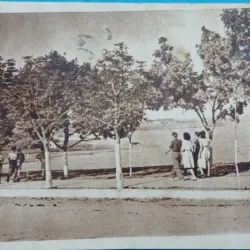 Carte Postala, Techirghiol, pe malul lacului, 1951