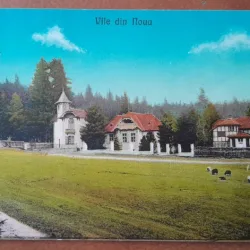 Carte postala, vile din Noua, 1925
