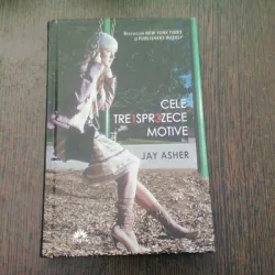 CELE TREISPREZECE MOTIVE - JAY ASHER