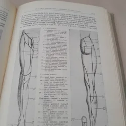 Chirurgia operatorie si anatomia topografica - V. N. Sevcunenco si A. N. Maximencov