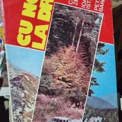 Cu noi la drum - Costache Zmeu