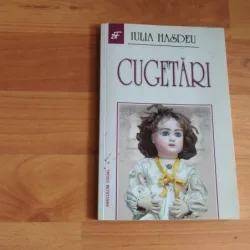 CUGETARI-IULIA VHASDEU
