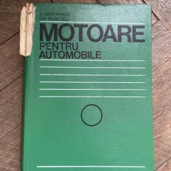 Dan Abaitancei Motoare pentru automobile pentru sectiile de subingineri