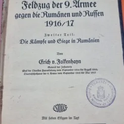 Der Feldzug der 9. Armee gegen die Rumänen und Russen 1916/17 - Erich von Falkenhayn
