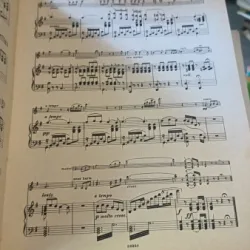 Die Goldene Geige , Eine Sammlung , von Erfolgen , fur Violine & Klavier Bandl