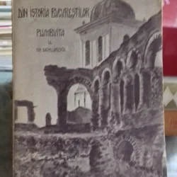 DIN ISTORIA BUCURESTILOR. PLUMBUITA - ION SACHELARESCU