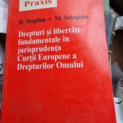 Drepturi si libertati fundamentale in jurisprudenta Curtii Europene a Drepturilor Omului - D. Bogdan