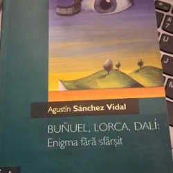 Enigma fără sfârșit de Agustin Sanchez Vidal