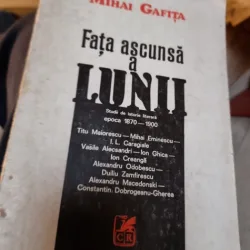Fata ascunsa a lunii - Mihai Gafita