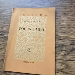 Foc in Taiga - Mihail Bubennov