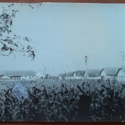 Fotografie, Dudestii Vechi, perioada interbelica