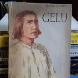 GELU - DIMITRIE STELARU