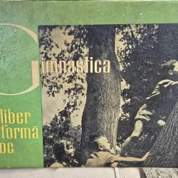 Gimnastica in aer liber sub forma de joc