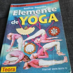 Godfrey Devereux - Elemente de Yoga
