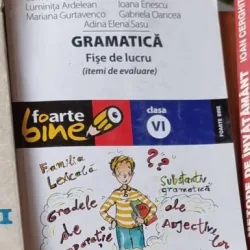 Gramatica. Fise de Lucru pentru clasa a VI-a
