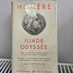 Iliade, Odyssee - Homere