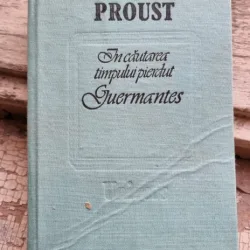 IN CAUTAREA TIMPULUI PIERDUT. GUERMANTES - PROUST
