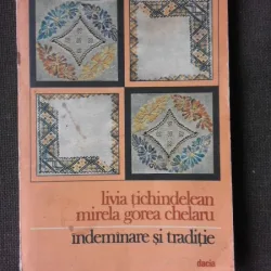 INDEMANARE SI TRADITIE - LIVIA TICHINDELEAN