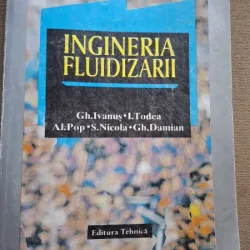 INGINERIA FLUIDIZARII - GH. IVANUS