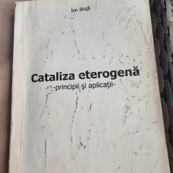 Ion Iliuta - Cataliza Eterogena. Principii si aplicatii