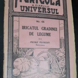 Irigatul gradinii de legume - Petre Florian
