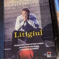 John Grisham - Litigiul