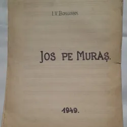 JOS PE MURAS - I.V. BORGOVAN, PARTITURA SI TEXT