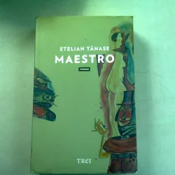 MAESTRO - STELIAN TANASE