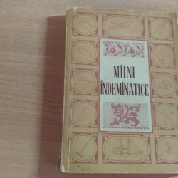MAINI INDEMANATICE - V.F. KULICENKO SI ALTII