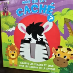Mais qui est Cache? (Dar ce se ascunde in carte? - carte in limba franceza)