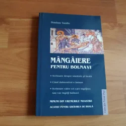 MANGAIERE PENTRU BOLNAVI - DANION VASILE