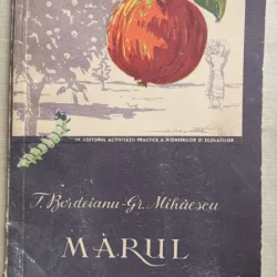 Marul - T. Bordeianu
