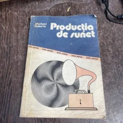 Michael Roberts - Productia de sunet