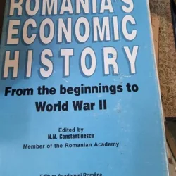 N. N. Constantinescu - Romania Economic History. From the beginning to World War II
