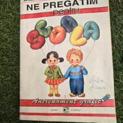 NE PREGATIM PENTRU ANTRENAMENT GRAFIC - ANTONIA BERESCU