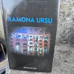 Noaptea ca hotii - Ramona Ursu